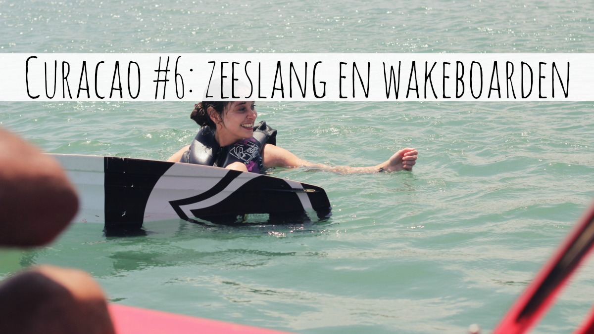zeeslang wakeboarden curacao