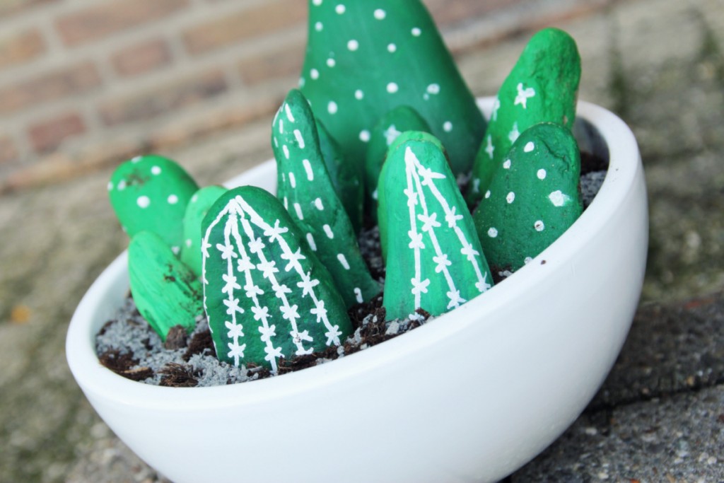 DIY Cactus die geen water nodig heeft